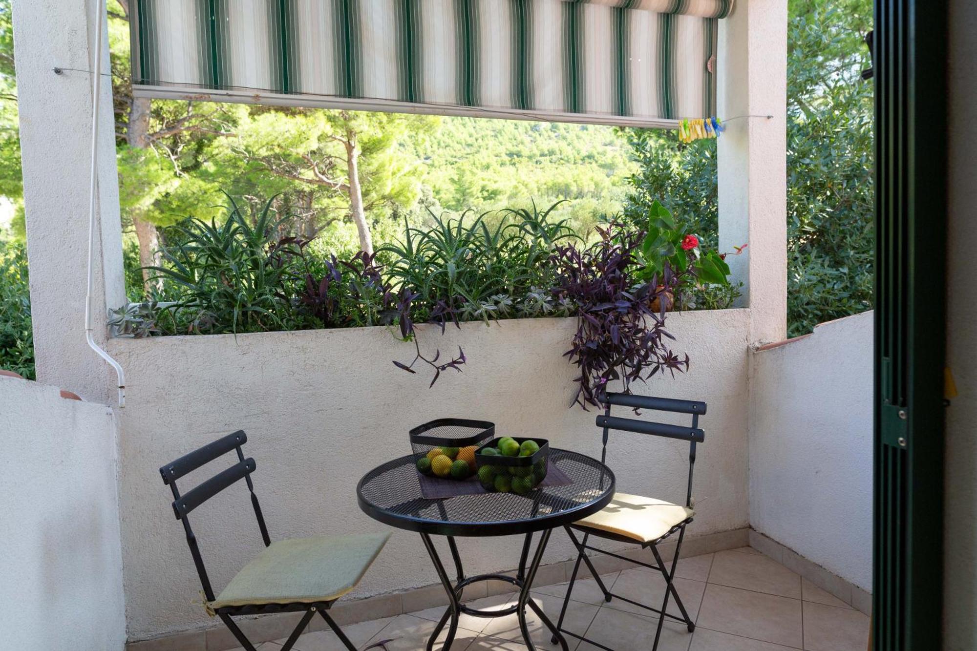 Apartament Hojalero Promajna